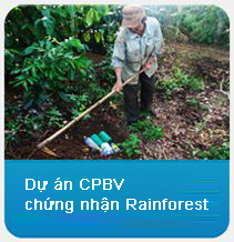 Dự án CPBV chứng nhận Rainforest